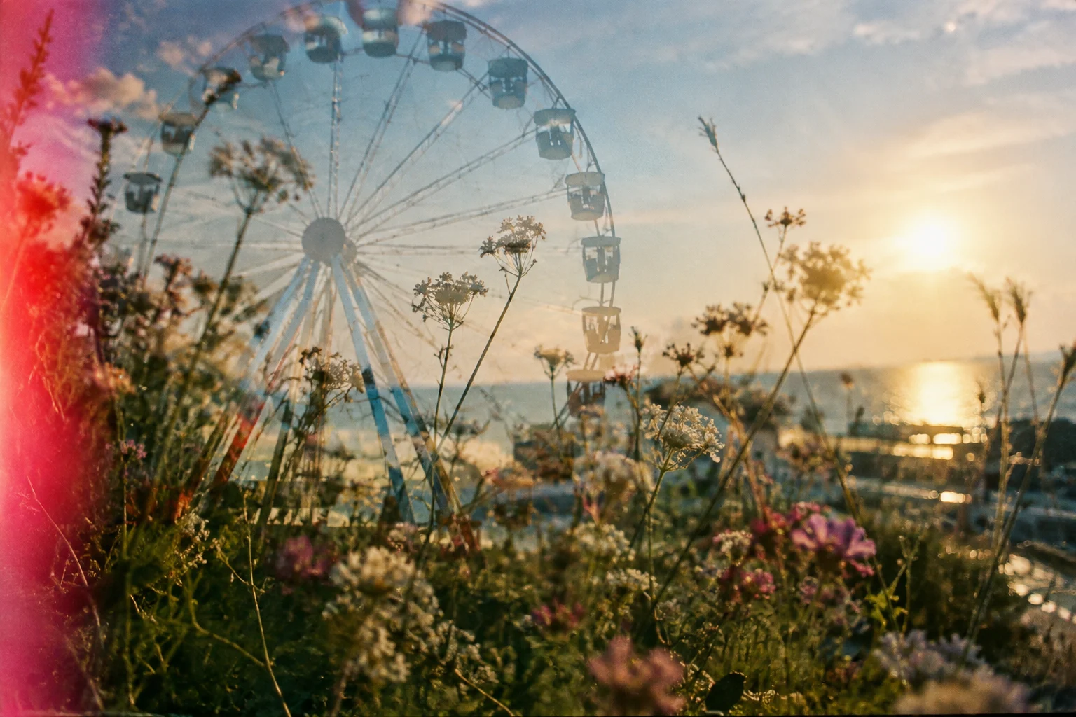 An experimental double exposure of a Ferris wheel and flowers, with analog light leaks.